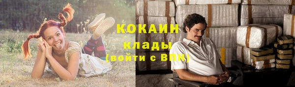твердый Алексин