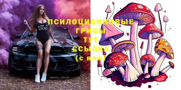 гидра Алексеевка