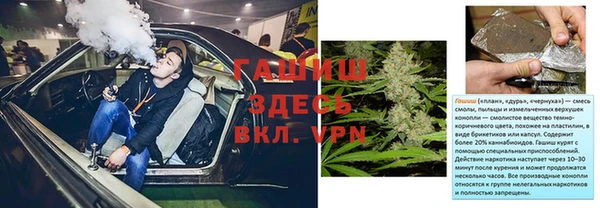 гидра Алексеевка